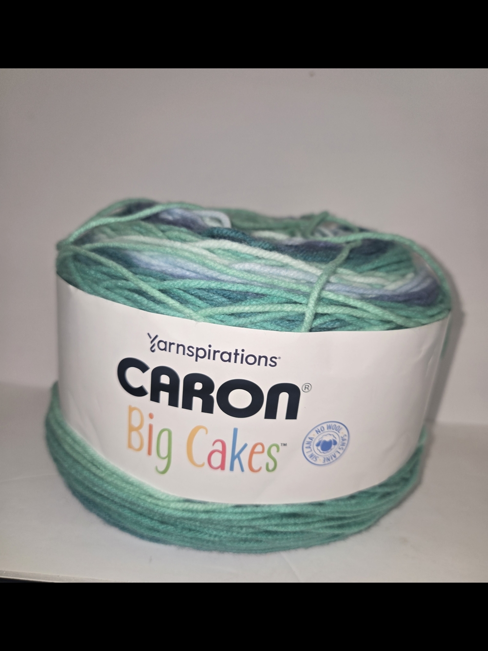 Caron Big Cakes Multicolor Mint Yarn Cake